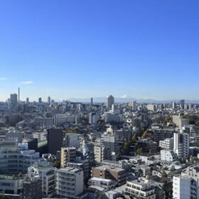 quad全景