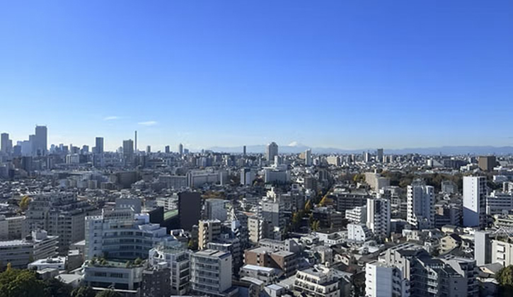 quad全景